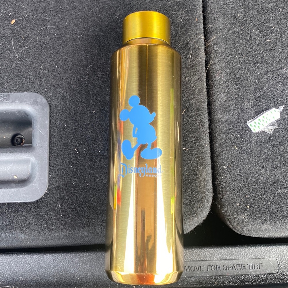 Starbucks Disneyland Stainless Steel Water Bottle brand New